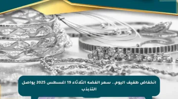 انخفاض طفيف اليوم.. سعر الفضة الثلاثاء 19 أغسطس 2025 يواصل التذبذب